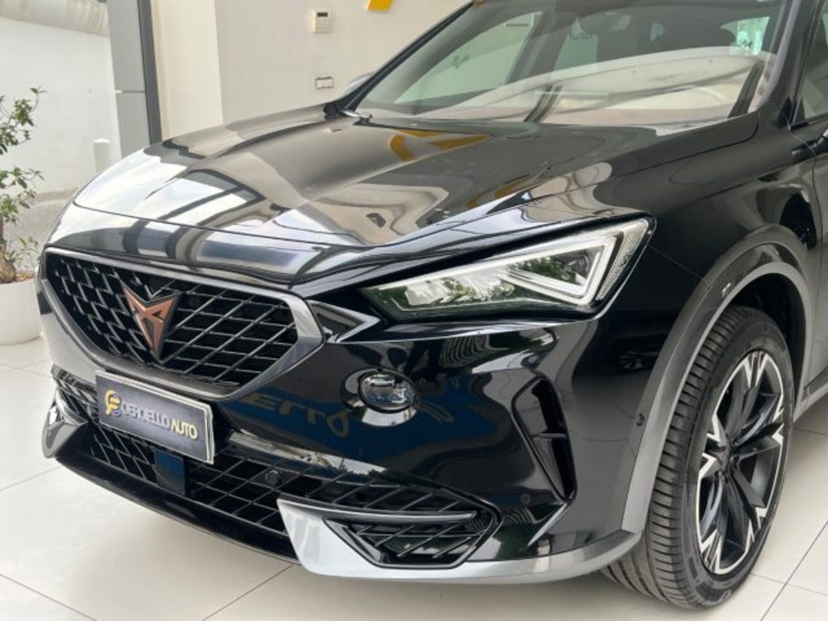 Cupra Formentor Formentor 2.0 tdi 4drive 150cv dsg (2)