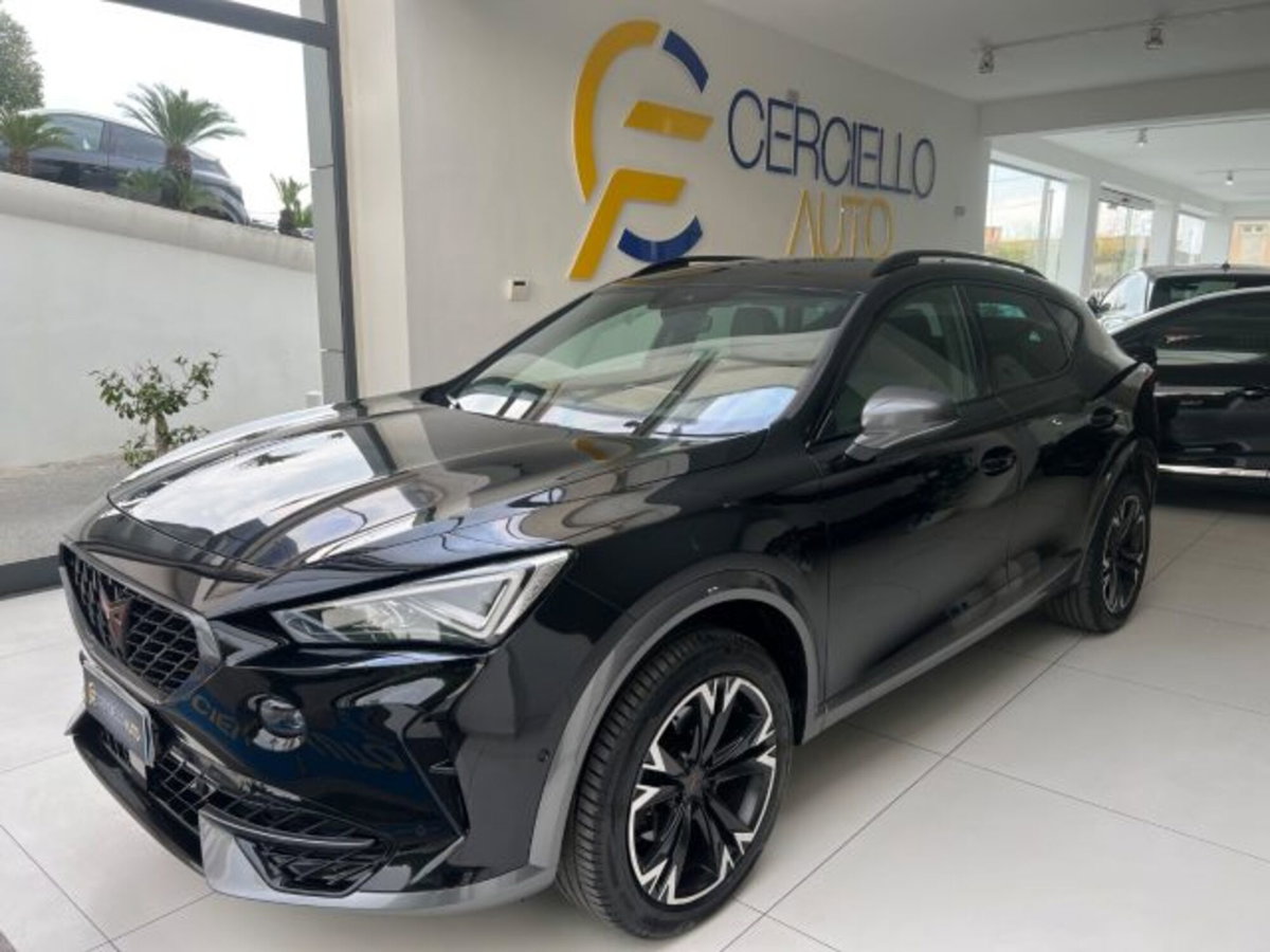 Cupra Formentor Formentor 2.0 tdi 4drive 150cv dsg (3)