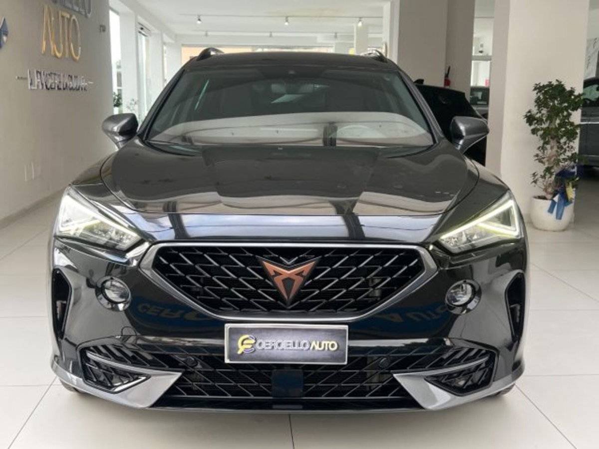 Cupra Formentor Formentor 2.0 tdi 4drive 150cv dsg (4)