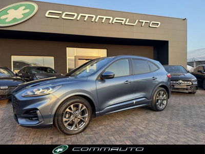 Ford Kuga 2.0 EcoBlue 120 CV aut. 2WD ST-Line X usata