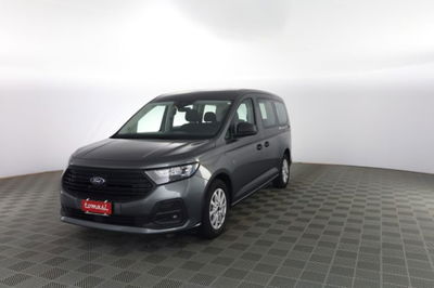 Ford Tourneo Connect 2.0 EcoBlue 102 CV Plus usata