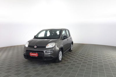 Fiat Panda Cross Cross 1.0 FireFly S&S Hybrid usata
