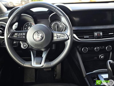 Alfa Romeo Stelvio Stelvio 2.2 Turbodiesel 190 CV AT8 Q4 Super Business (10)