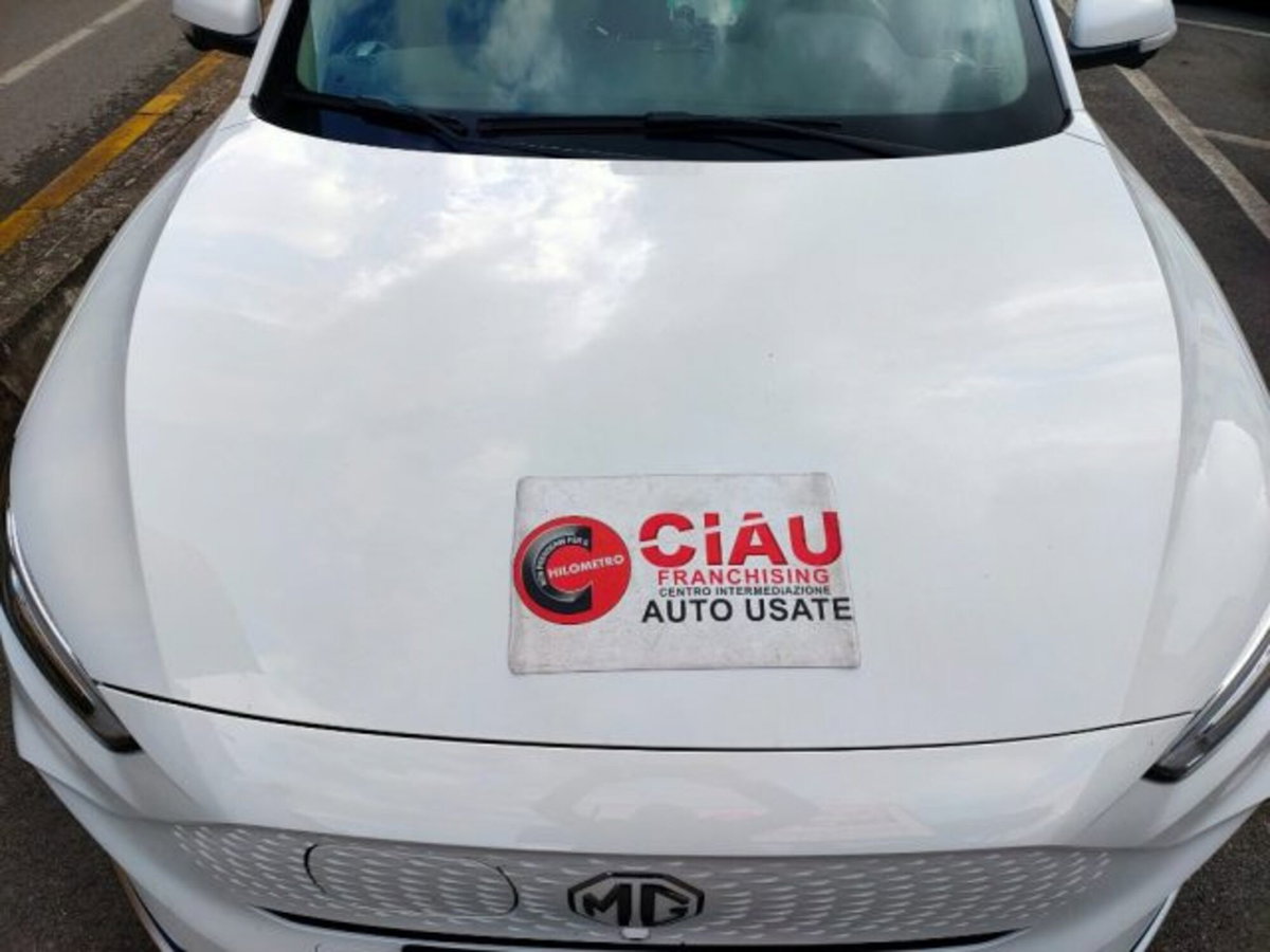 Mg ZS EV Luxury 72 kWh (20)