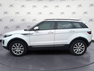 Land Rover Range Rover Evoque 2.0 TD4 150 CV 5p. HSE (4)