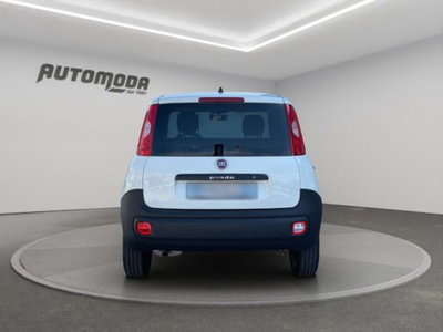 Fiat Panda 1.3 MJT 4x4 Pop Van 2 posti (5)