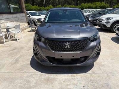Peugeot 2008 BlueHDi 110 S&S Active (2)