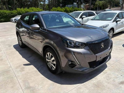 Peugeot 2008 BlueHDi 110 S&S Active (3)