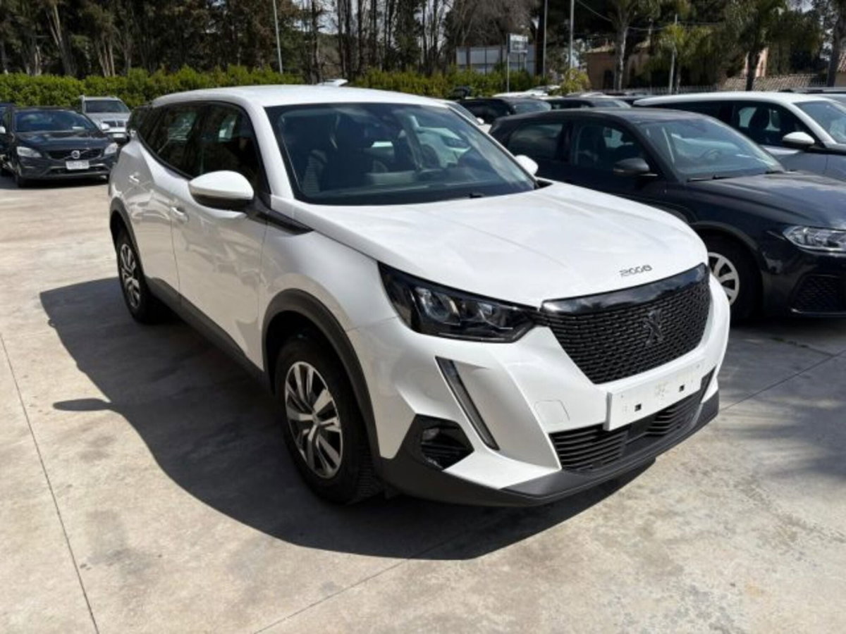 Peugeot 2008 BlueHDi 110 S&S Active (3)