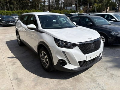 Peugeot 2008 BlueHDi 110 S&S Active (3)