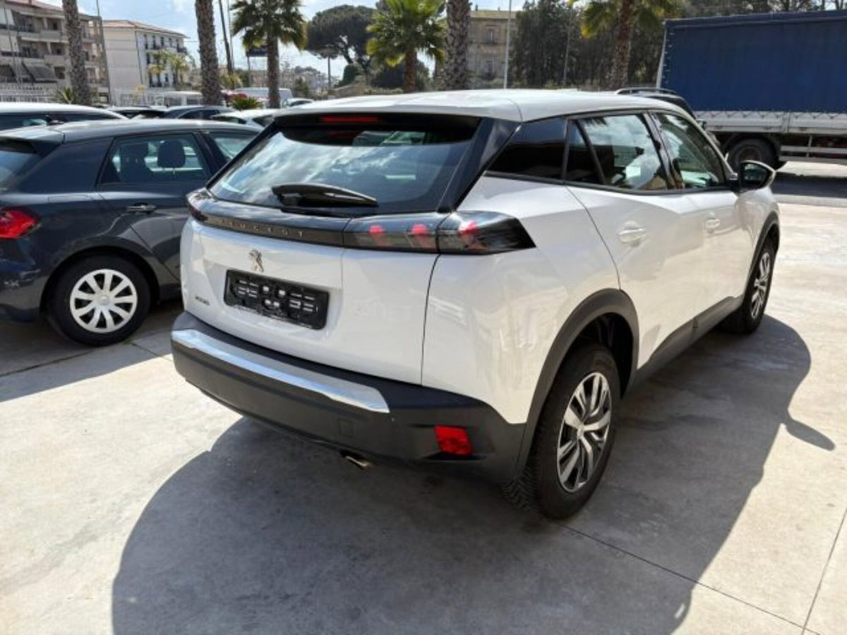 Peugeot 2008 BlueHDi 110 S&S Active (4)