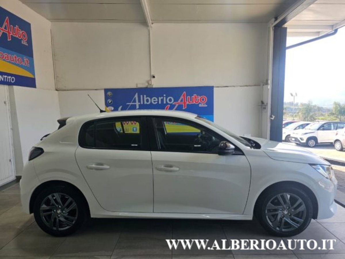 Peugeot 208 BlueHDi 100 Stop&Start 5 porte Active Pack (5)