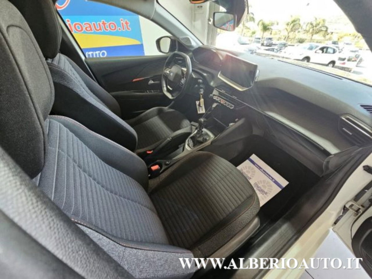 Peugeot 208 BlueHDi 100 Stop&Start 5 porte Active Pack (6)