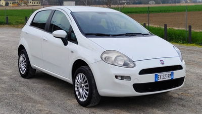 Fiat Punto 1.4 8V 5 porte Natural Power Lounge usata