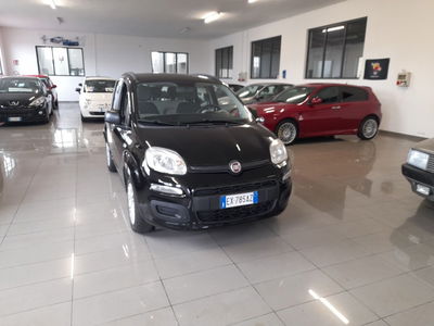 Fiat Panda 1.2 Lounge usata