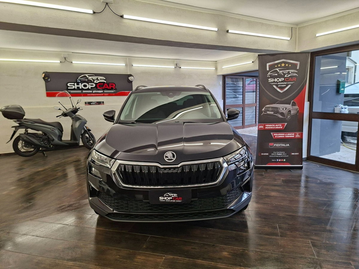 Skoda Karoq 2.0 TDI EVO SCR 115 CV DSG Executive (17)