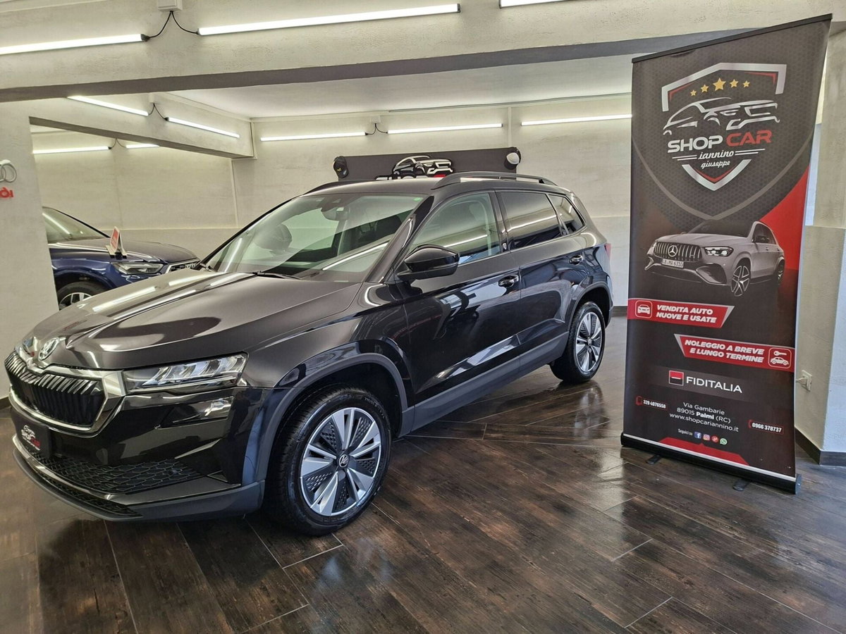 Skoda Karoq 2.0 TDI EVO SCR 115 CV DSG Executive (8)