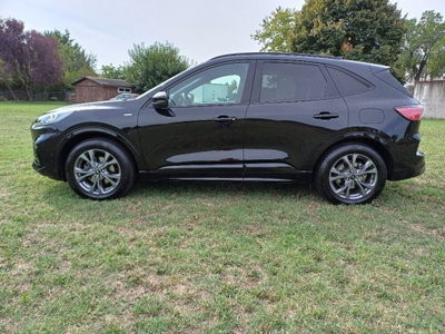 Ford Kuga 1.5 ecoboost ST-Line X 2wd 150cv (5)