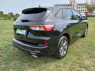 Ford Kuga 1.5 ecoboost ST-Line X 2wd 150cv (8)