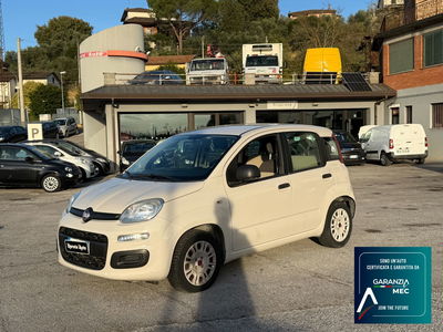 Fiat Panda 1.3 MJT 95 CV S&S Lounge usata