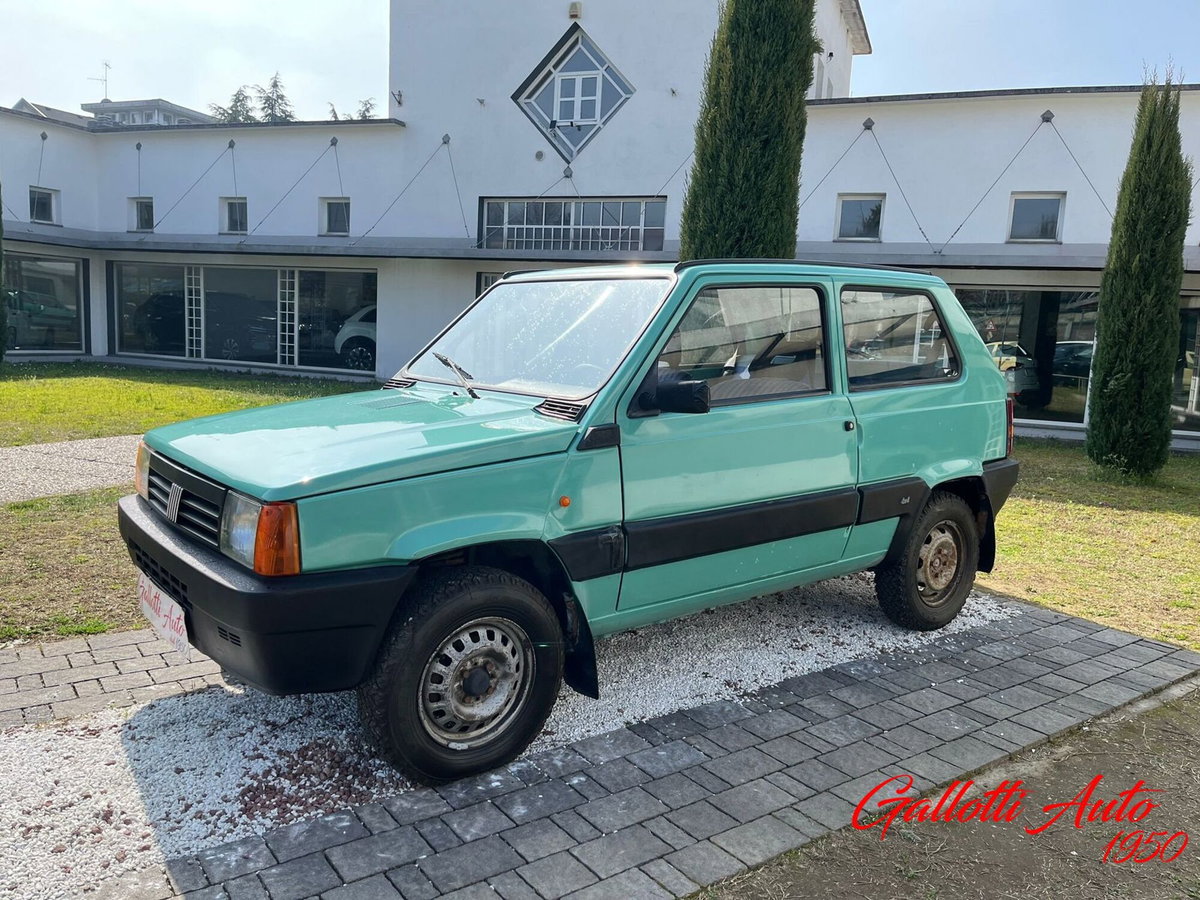 Fiat Panda 1.1 Van Active 4 posti (N1) (20)