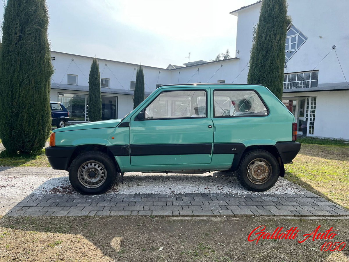 Fiat Panda 1.1 Van Active 4 posti (N1) (3)