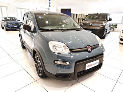 Fiat Panda 1.2 EasyPower City Life usata