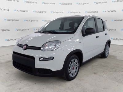 Fiat Pandina 1.0 firefly hybrid Icon s&s 65cv nuova