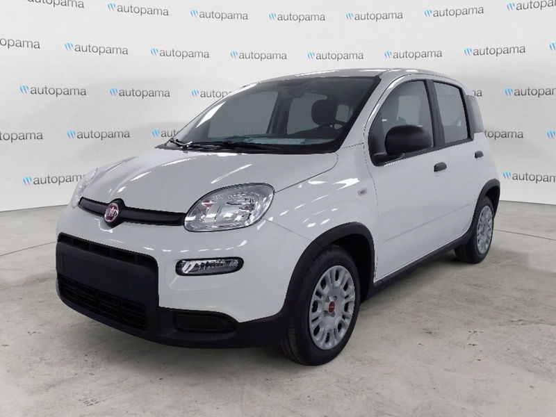 Fiat Pandina 1.0 firefly hybrid Icon s&s 65cv
