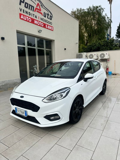 Ford Fiesta 1.5 EcoBlue 5 porte ST-Line (16)
