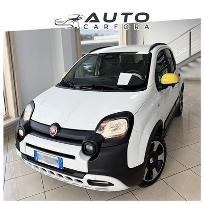 Fiat Panda 1.0 FireFly S&S Hybrid usata