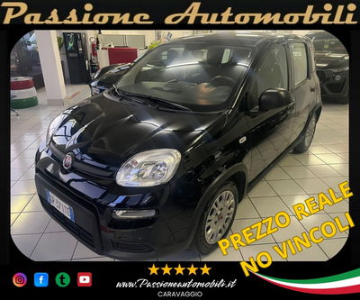 Fiat Panda 1.0 FireFly S&S Hybrid usata
