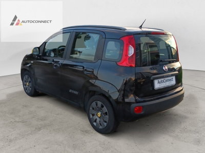 Fiat Panda 1.2 K-Way (3)