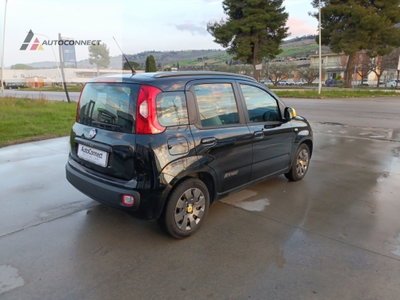Fiat Panda 1.2 K-Way (6)