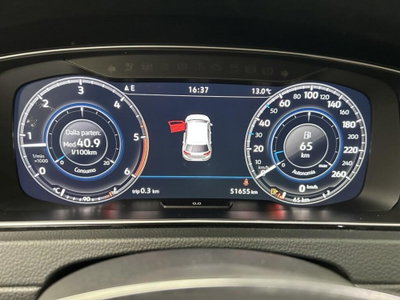 Volkswagen Golf 1.6 TDI 115 CV 5p. Executive BlueMotion Technology (9)