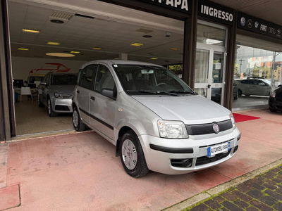 Fiat Panda 1.1 Active usata