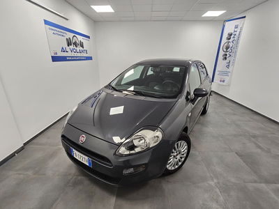 Fiat Punto 1.2 8V 5 porte Street usata