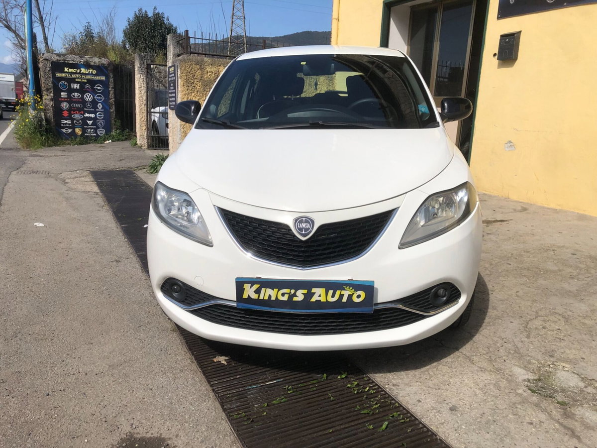 Lancia Ypsilon 0.9 TwinAir 85 CV 5 porte Metano Ecochic Platinum (3)