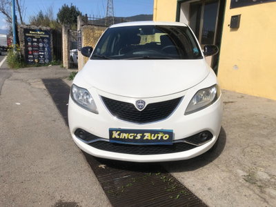 Lancia Ypsilon 0.9 TwinAir 85 CV 5 porte Metano Ecochic Platinum (3)