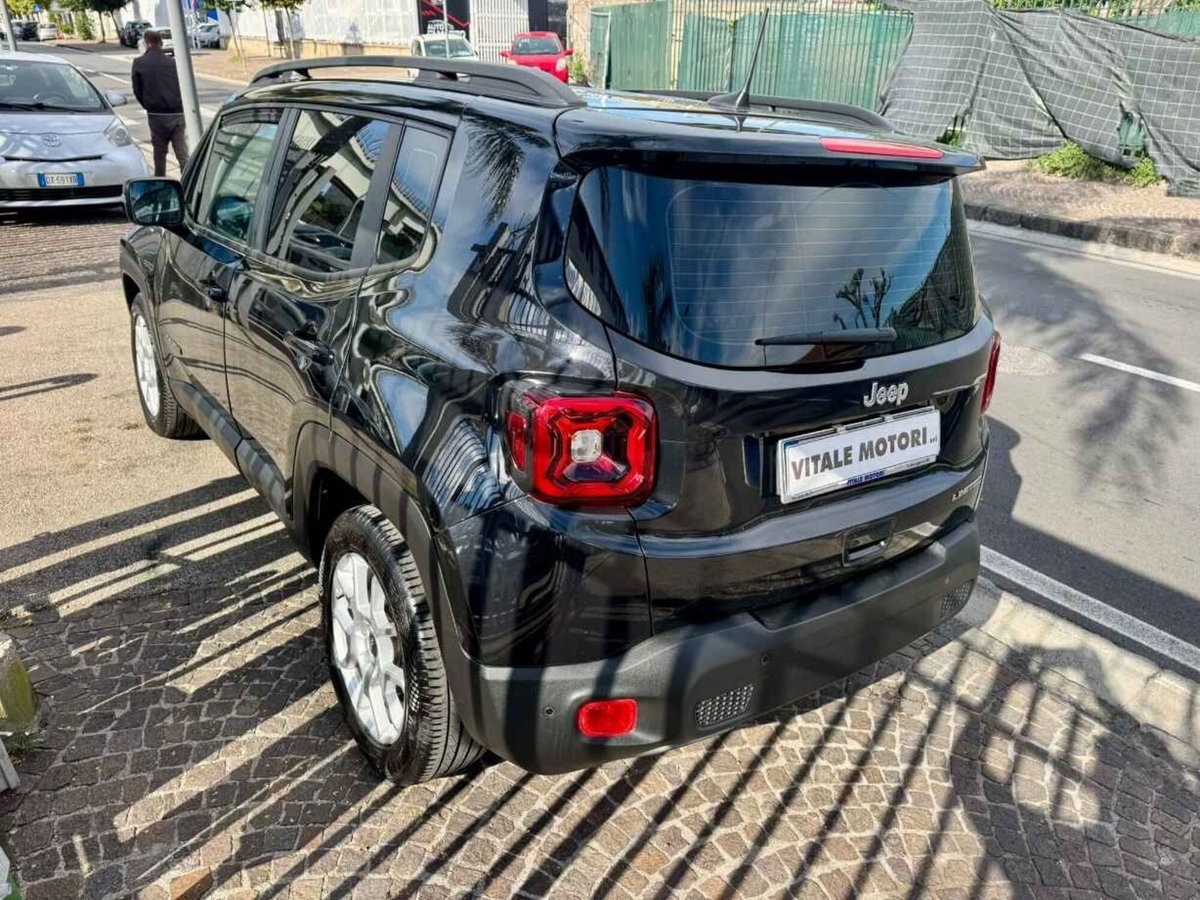 Jeep Renegade 1.3 T4 DDCT Limited (10)