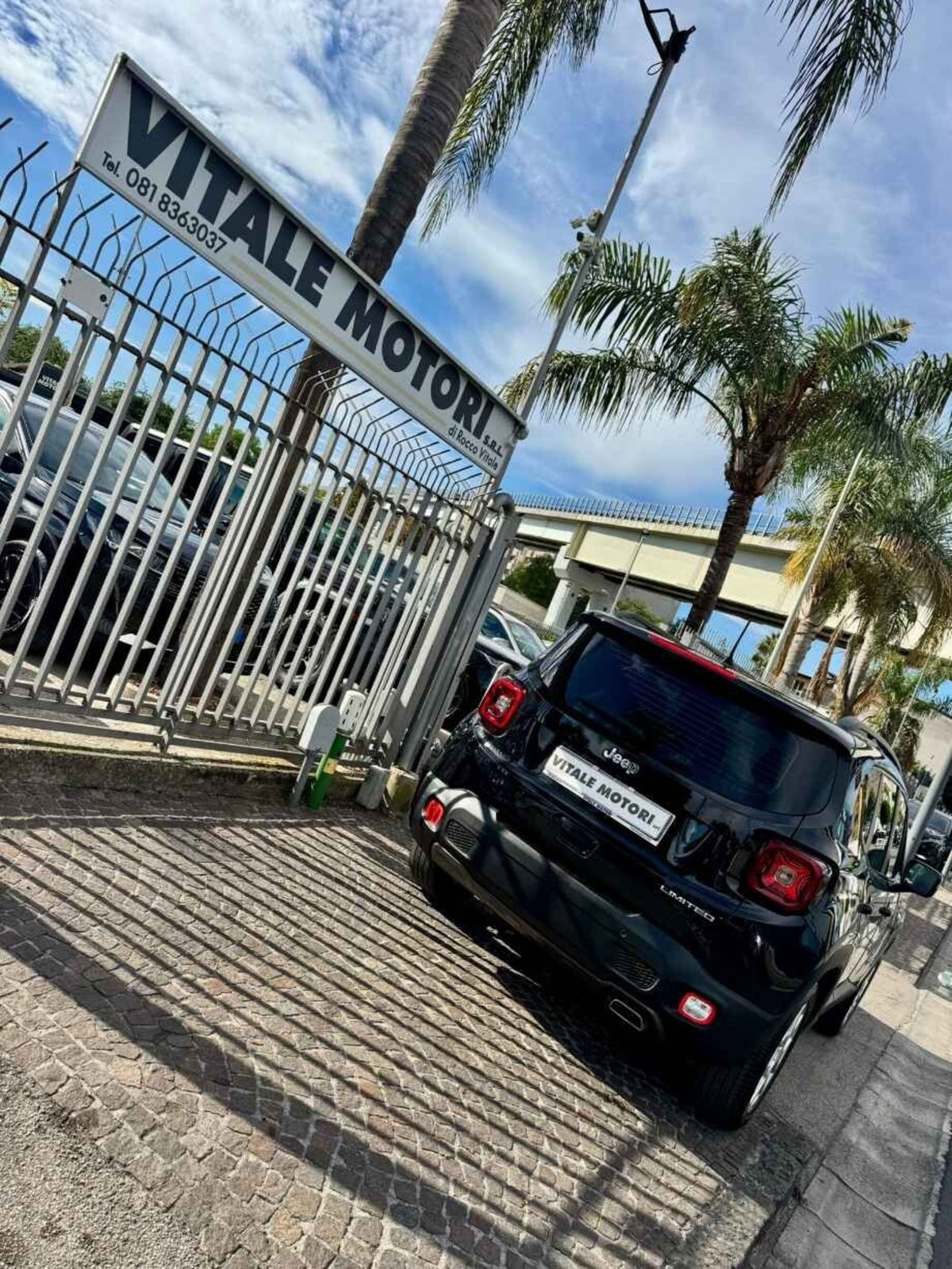 Jeep Renegade 1.3 T4 DDCT Limited (6)