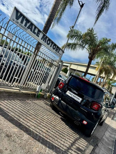 Jeep Renegade 1.3 T4 DDCT Limited (6)