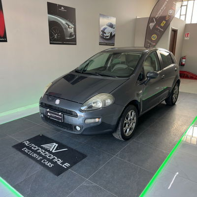 Fiat Punto 1.4 8V 5 porte Natural Power Easy usata