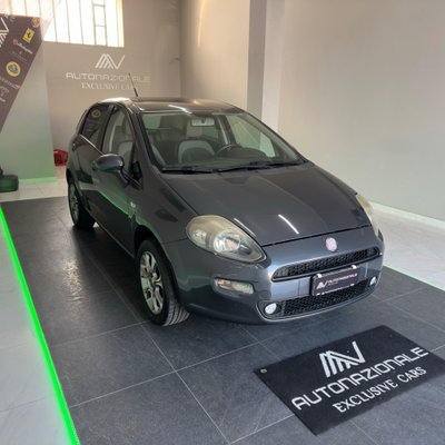 Fiat Punto 1.4 8V 5 porte Natural Power Easy (3)