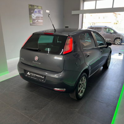 Fiat Punto 1.4 8V 5 porte Natural Power Easy (4)