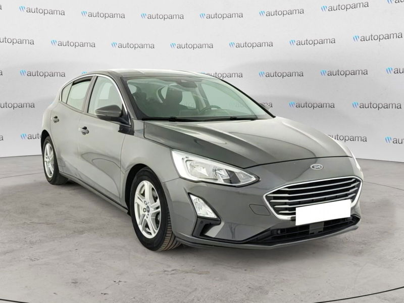 Ford Focus 1.5 EcoBlue 120 CV 5p. Business