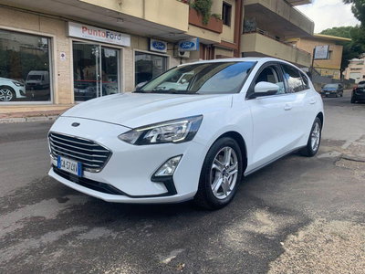 Ford Focus 1.5 EcoBlue 120 CV 5p. Business usata