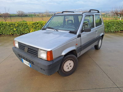 Fiat Panda 1100 i.e. cat Young usata
