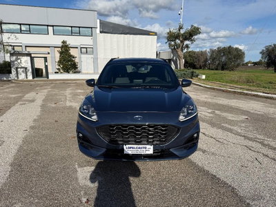 Ford Kuga 1.5 EcoBlue 120 CV 2WD ST-Line usata