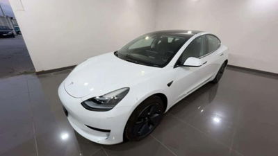 Tesla Model 3 Model 3 Standard RWD Plus usata